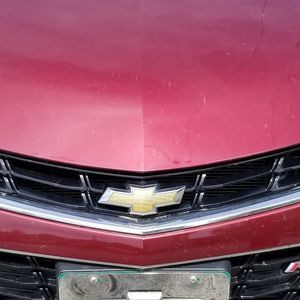 Meet your Posher, Shawn